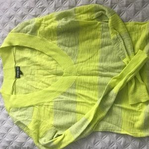 Express V-neck sweater